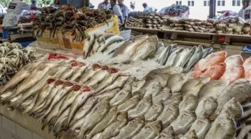 أسعار السمك في سوق العبور اليوم الخميس 27 نوفمبر 2025